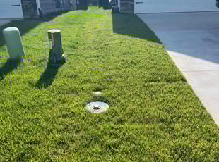Dave F.'s lawn care service result