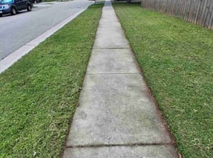 Arielle P.'s turf care service result