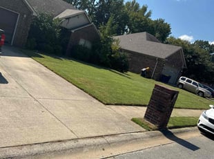 Manoulosky D.'s Long Grass Cleanup service result