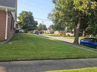 Lonnie H.'s lawn care services service result
