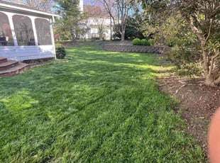 Emily K.'s lawn care services service result