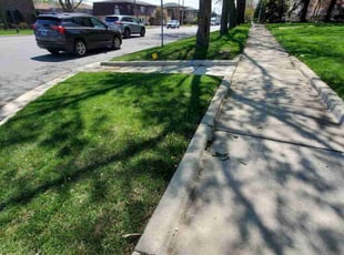 Micayla B.'s lawn care services service result