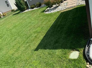 Andrea E.'s lawn care services service result