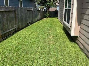 Matt V.'s landscape maintenance service result