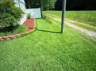 Pamela T.'s lawn service service result