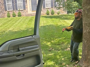 Augustine M.'s grass cutting service result