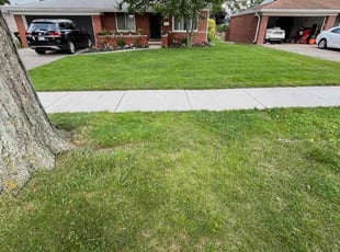 Jim E.'s lawn service service result
