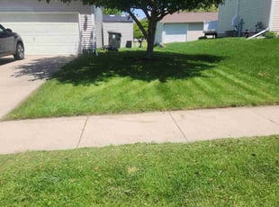 Samuel O.'s lawn maintenance service result