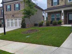 Christina P.'s grass maintenance service result