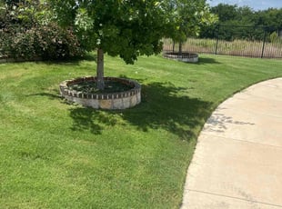 Hugh J.'s turf care service result