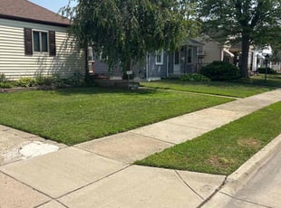 Arfan H.'s lawn care services service result
