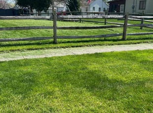 Steban G.'s turf care service result