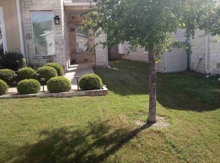 Miranda S.'s grass maintenance service result