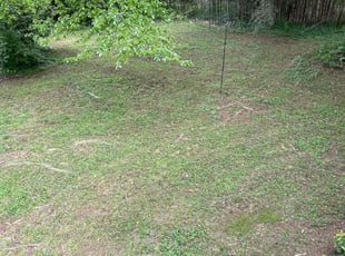 Helen B.'s Bush Trimming service result