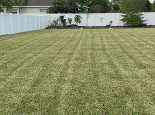 Stacie M.'s yard service service result