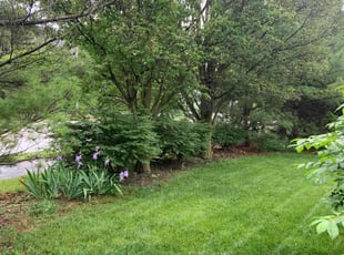 Keenan F.'s turf maintenance service result