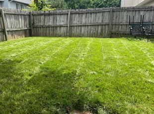 Connie P.'s turf maintenance service result