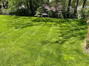 Gage M.'s lawn service service result