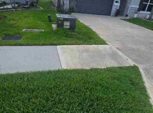 Leslie D.'s Long Grass Cleanup service result