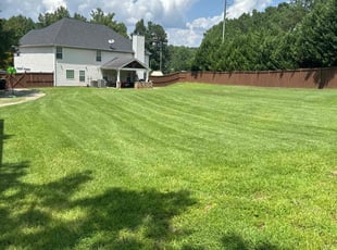 Diana W.'s turf care service result