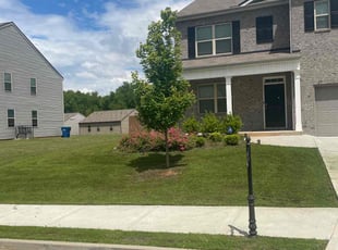 Crystal V.'s lawn care service result