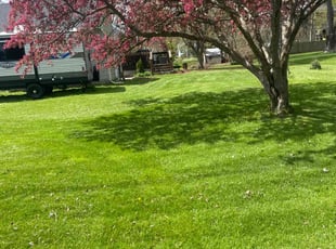 Pamela H.'s lawn service service result