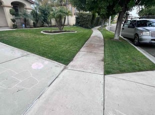 Mariah G.'s lawn service service result