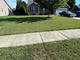 Rob H.'s lawn maintenance service result