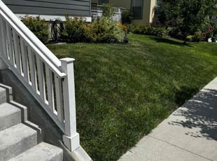 Elena G.'s lawn care services service result
