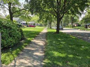Kelly G.'s turf care service result