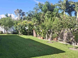 Christine E.'s turf maintenance service result