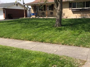 Brieona B.'s grass cutting service result