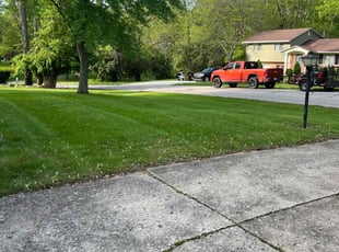 Margaret G.'s lawn service service result