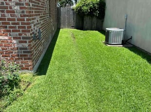 Moe K.'s turf maintenance service result