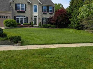 Stephanie S.'s yard service service result