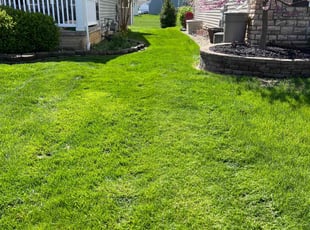 Alan S.'s lawn service service result
