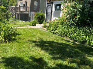 Stephen R.'s turf care service result