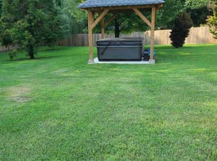 Kevin S.'s grass maintenance service result