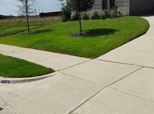 Sigita G.'s lawn care services service result