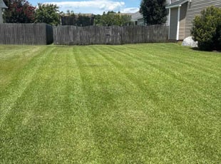 Patrick D.'s grass maintenance service result