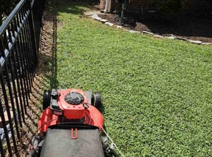 Julian I.'s grass cutting service result