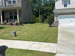 William J.'s turf care service result