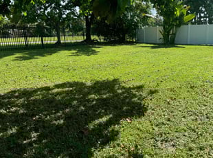 Richard M.'s turf care service result