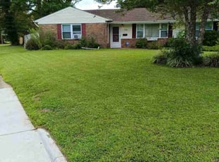 Yeshi G.'s grass cutting service result