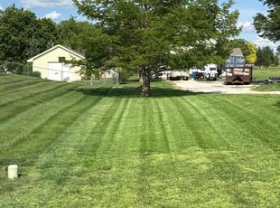 Larry c.'s lawn care services service result