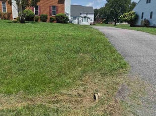 Kimberly E.'s lawn maintenance service result