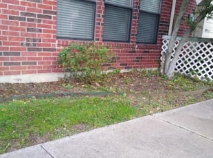 Janet B.'s Bush Trimming service result