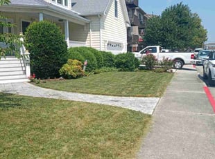 Todd D.'s lawn care service result