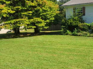 Carol M.'s lawn care services service result