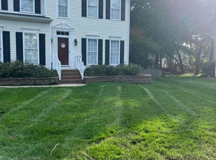 Joe M.'s grass cutting service result